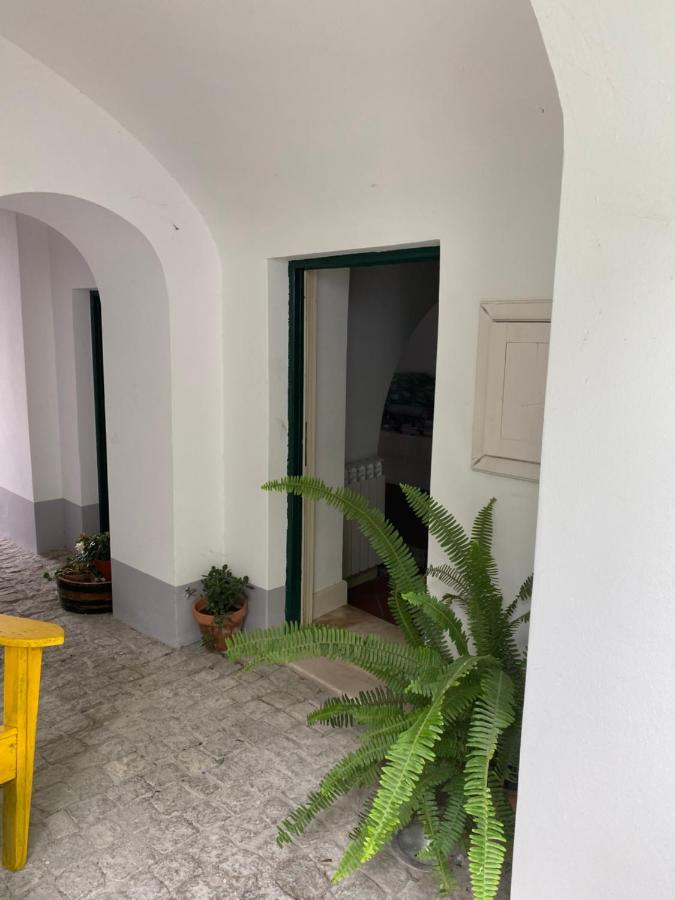 Casa Do Menino Jesus Leilighet Évora Eksteriør bilde