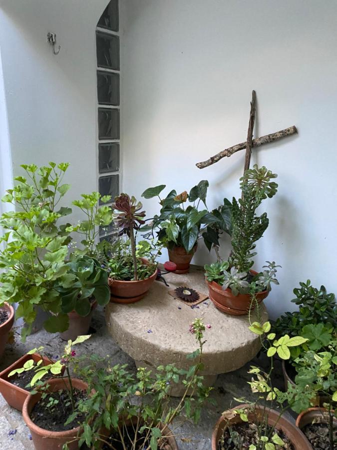Casa Do Menino Jesus Leilighet Évora Eksteriør bilde